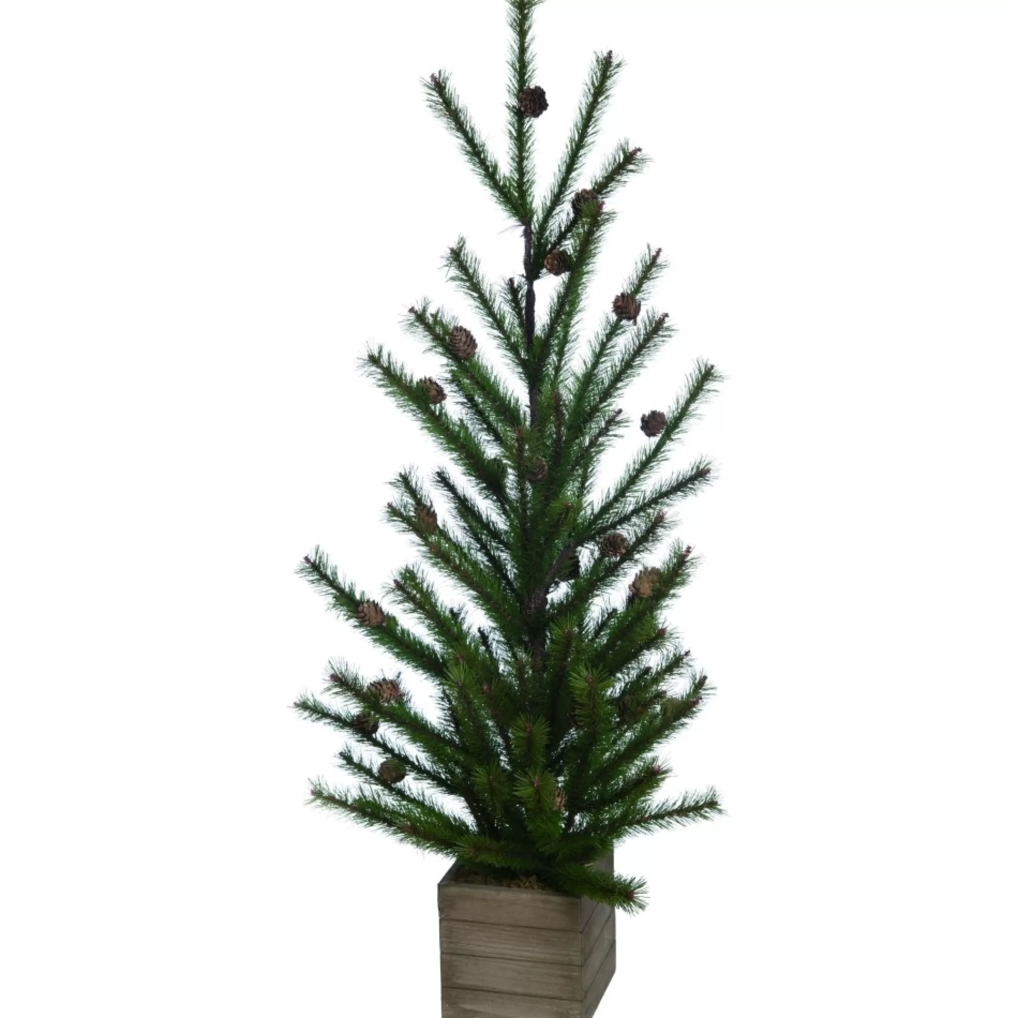 Shop 1.5' Potted Pinecone Natural Christmas Tree With Container - Unlit Unlit