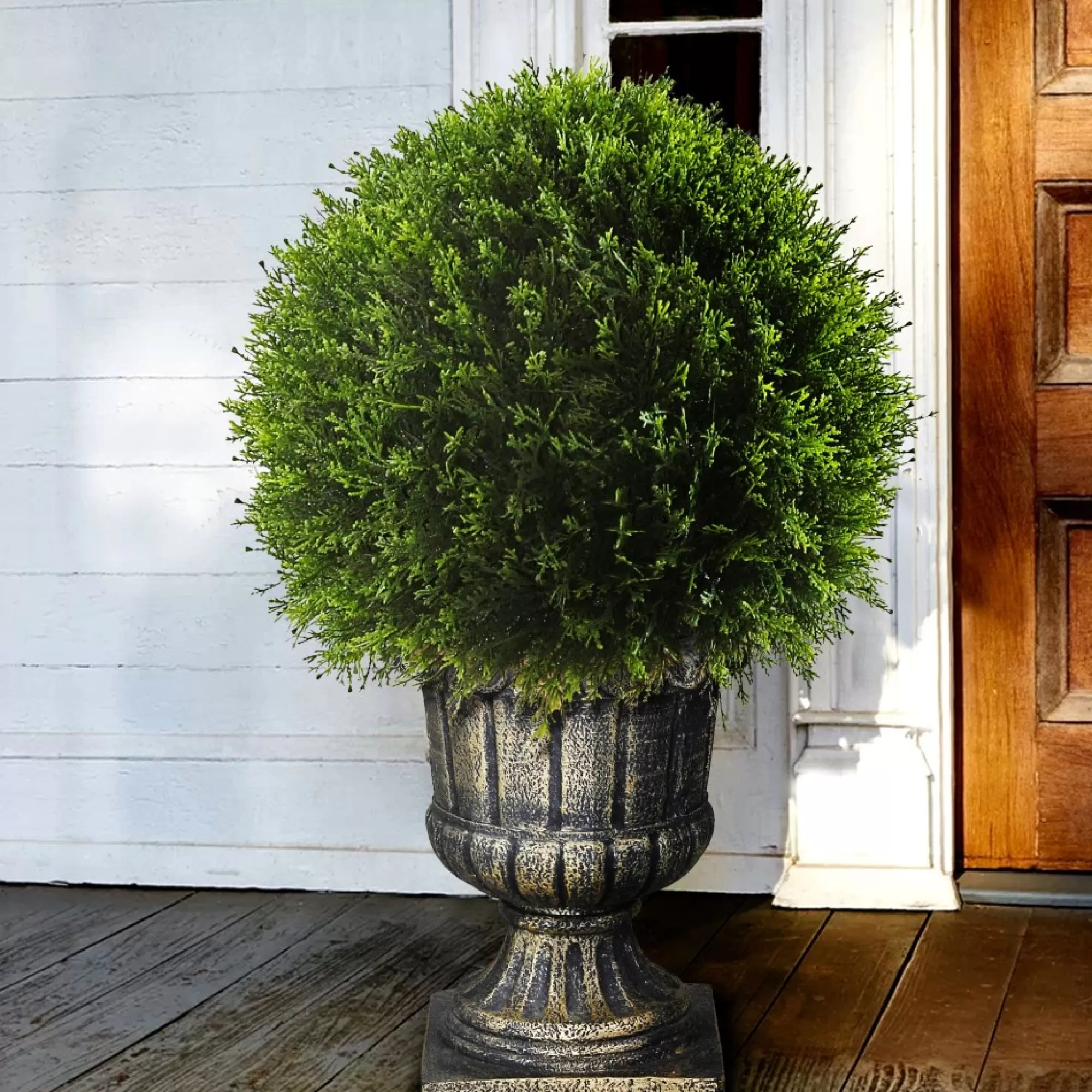 New 27" Upright Juniper Ball Topiary Tree In Urn - Unlit Topiaries